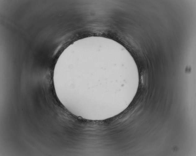 X0000101181347200807250930