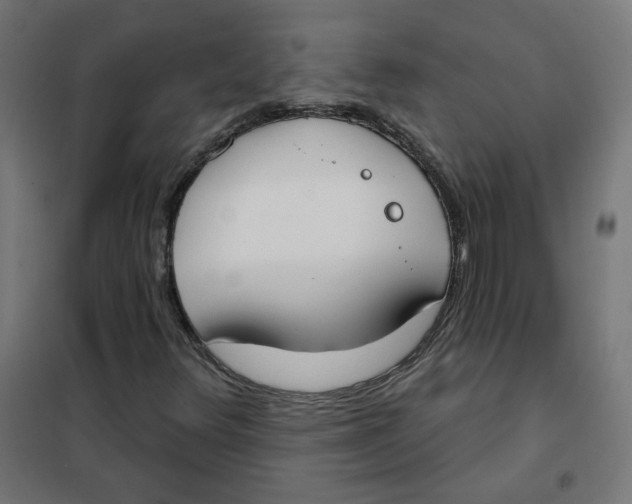 X0000101181348200807250930