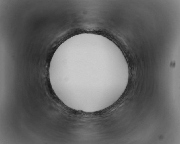 X0000101181349200807250930