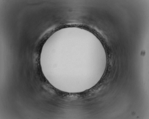 X0000101181351200807250930