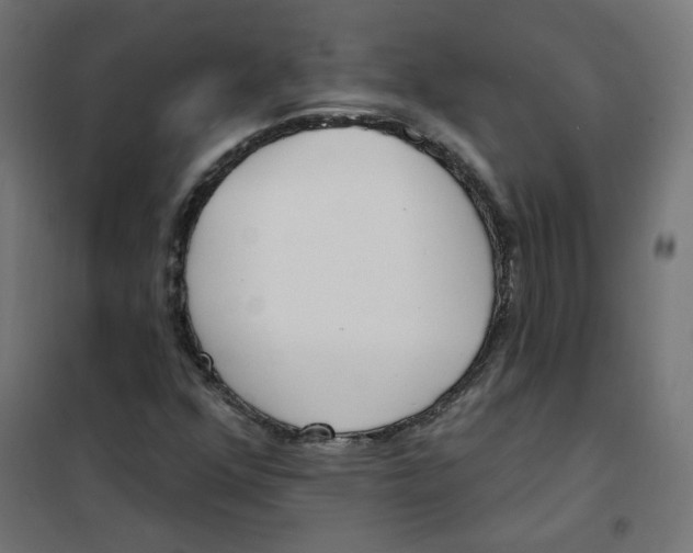 X0000101181352200807250930