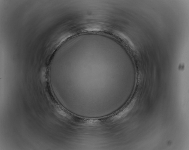 X0000101181353200807250930