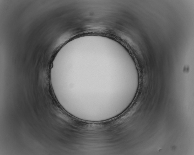 X0000101181354200807250930