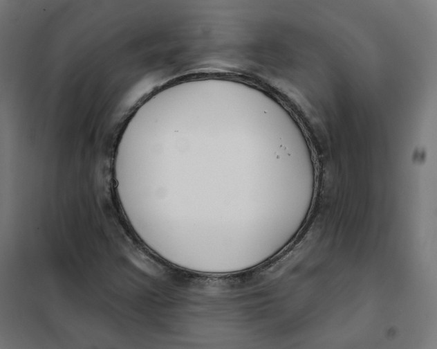 X0000101181355200807250930