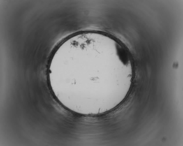 X0000101181356200807250930