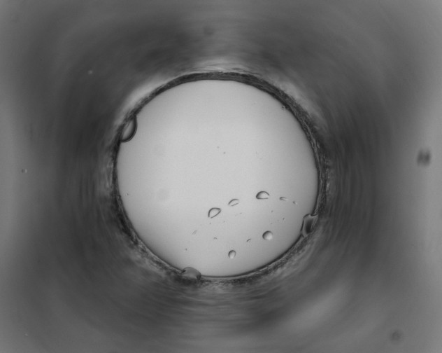 X0000101181358200807250930