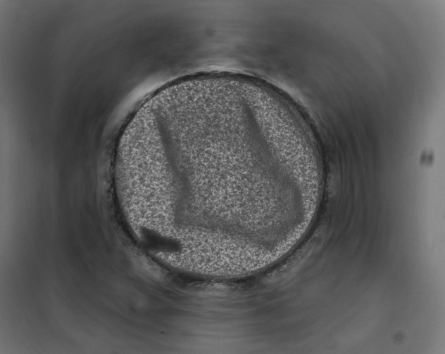 X0000101181359200807250930