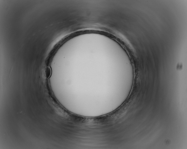 X0000101181360200807250930