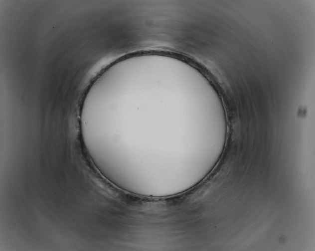 X0000101181363200807250930