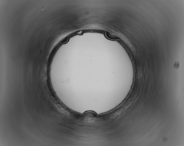 X0000101181364200807250930