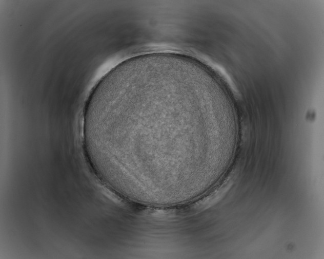 X0000101181365200807250930