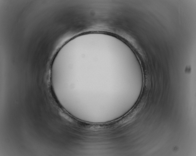 X0000101181366200807250930