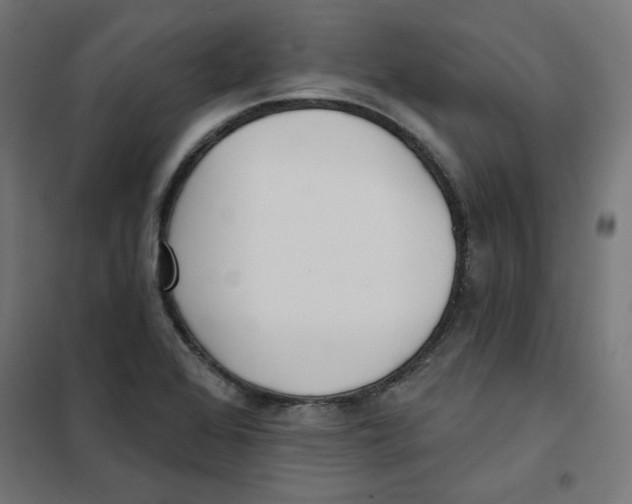 X0000101181368200807250930