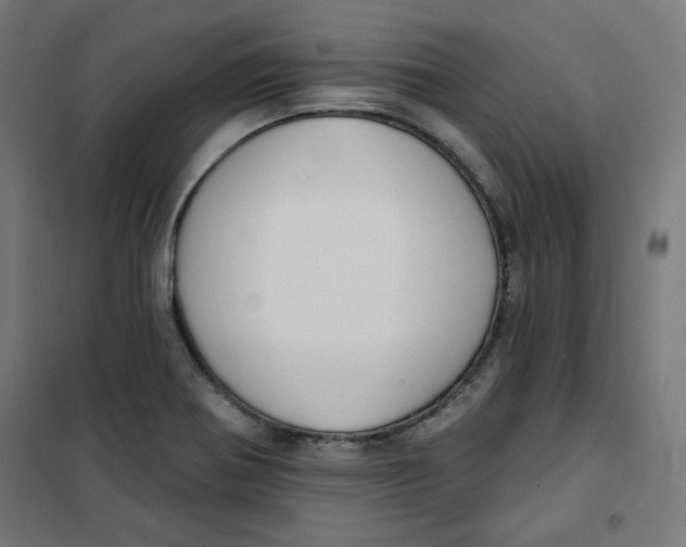 X0000101181370200807250930