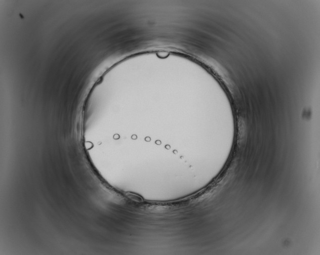 X0000101181371200807250930