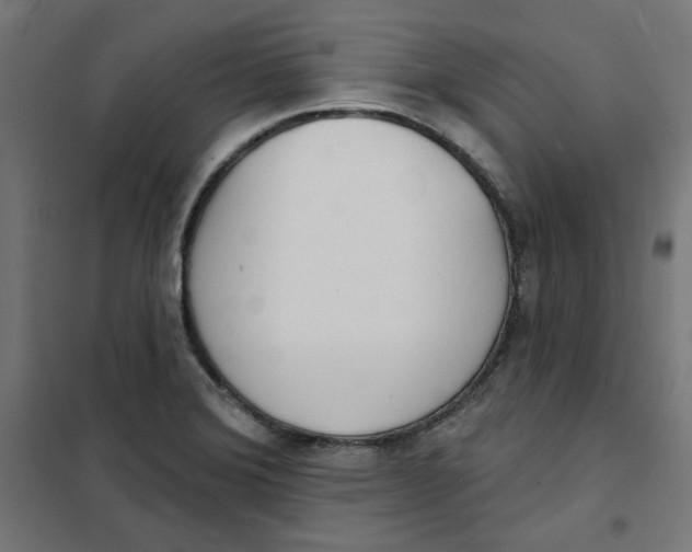 X0000101181372200807250930