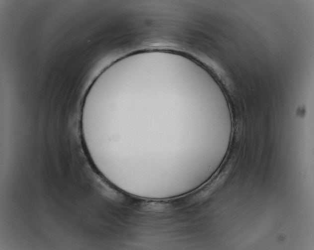 X0000101181374200807250930