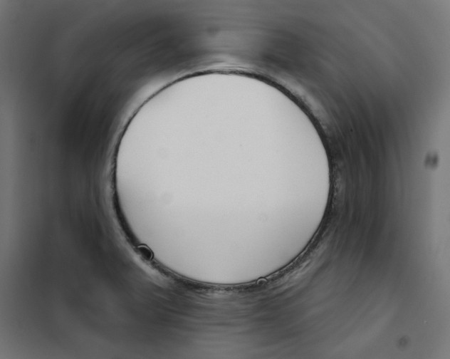 X0000101181375200807250930