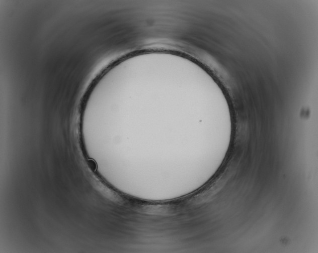 X0000101181376200807250930