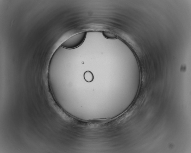 X0000101181378200807250930