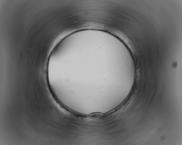 X0000101181379200807250930