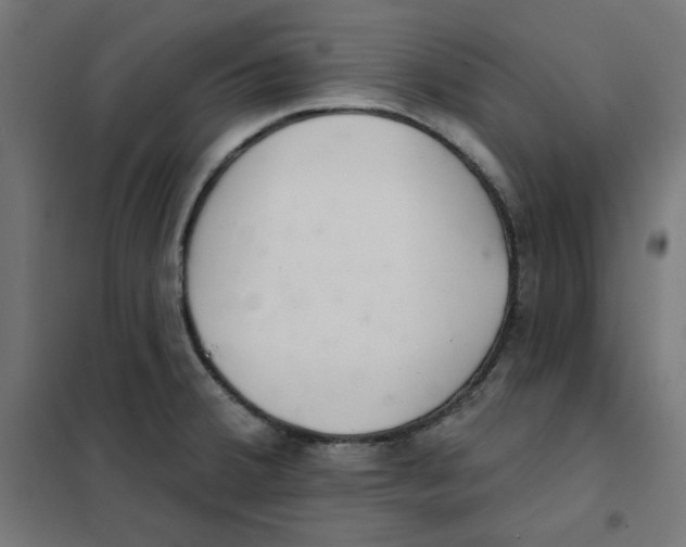 X0000101181380200807250930