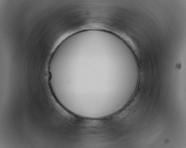 X0000101181382200807250930