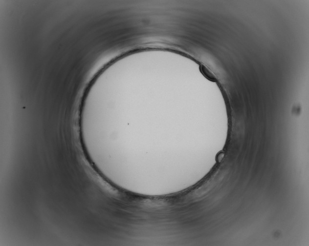 X0000101181384200807250930