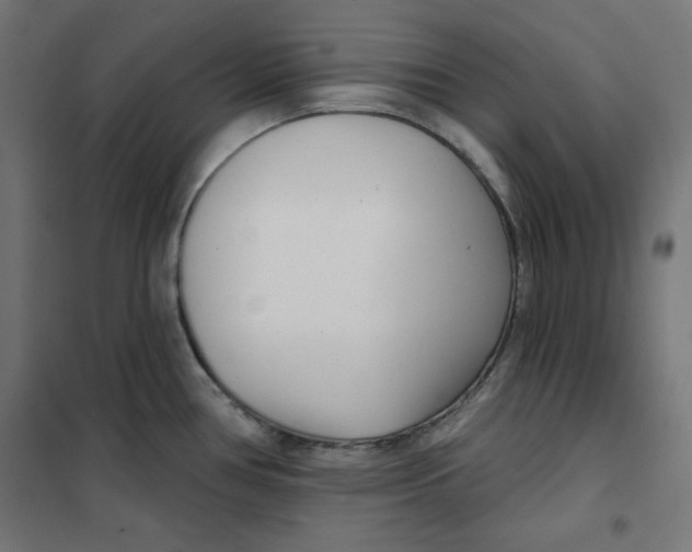 X0000101181386200807250930