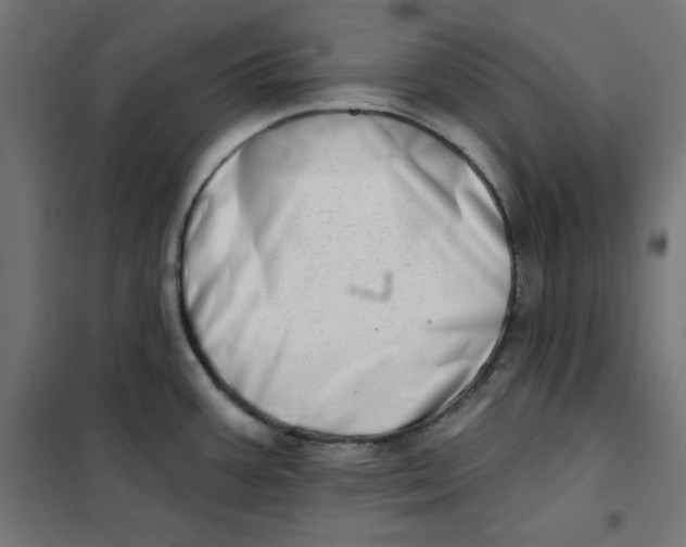 X0000101181387200807250930