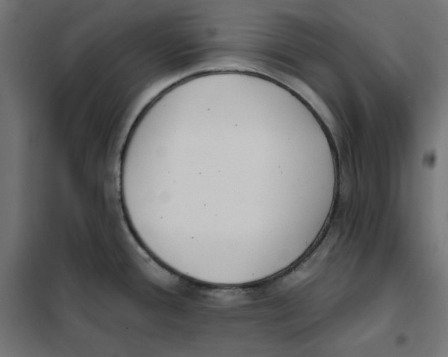 X0000101181388200807250929