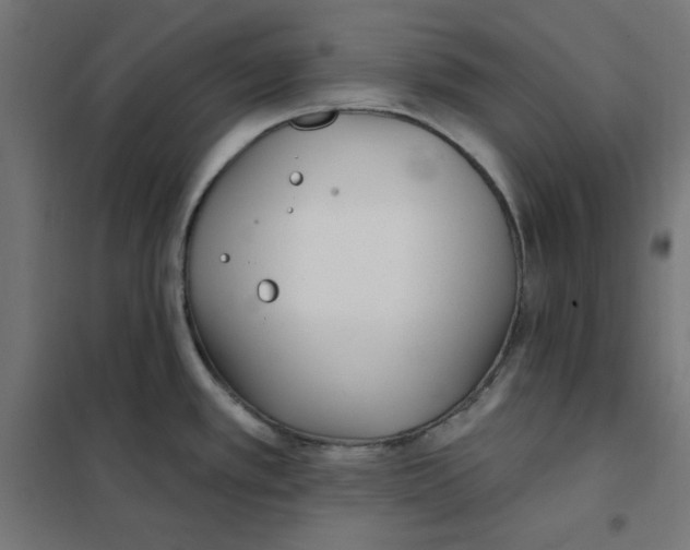 X0000101181389200807250929