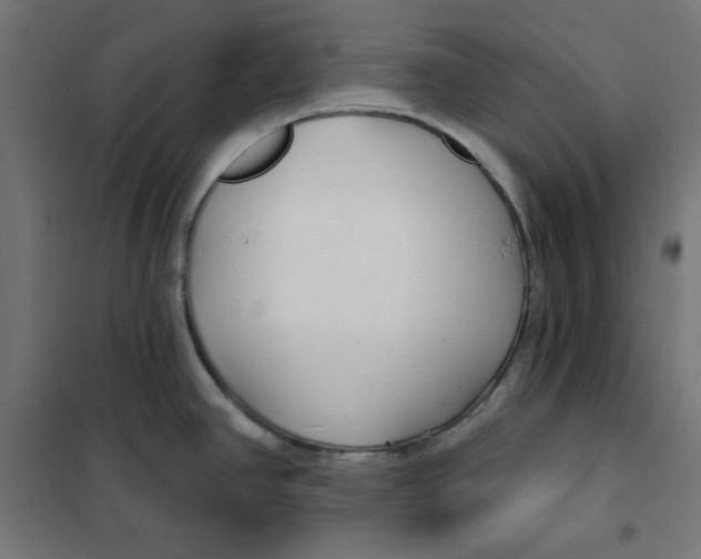 X0000101181390200807250929