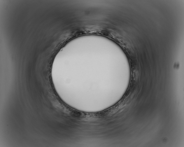 X0000101181393200807250929