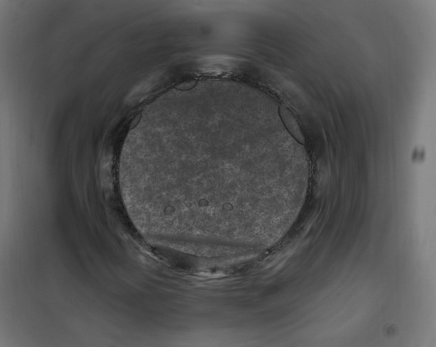 X0000101181394200807250929