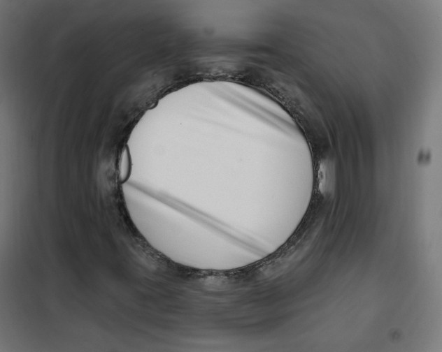 X0000101181395200807250929