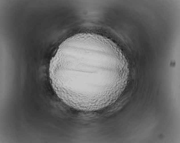 X0000101181397200807250929