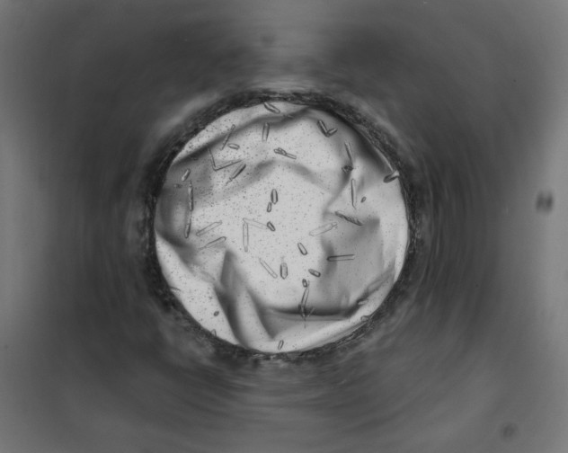 X0000101181398200807250929
