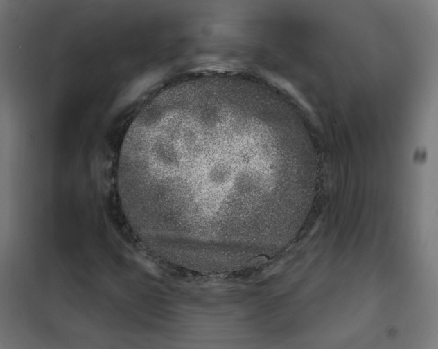 X0000101181399200807250929