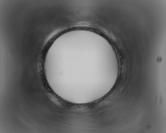 X0000101181400200807250929