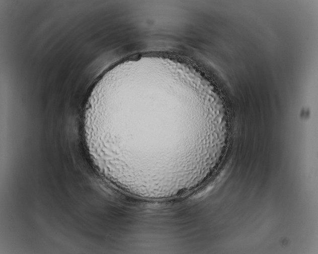 X0000101181401200807250929