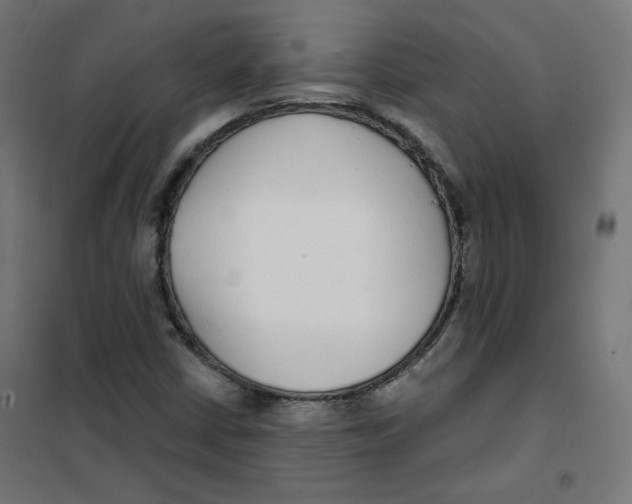 X0000101181402200807250929