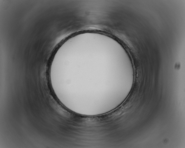 X0000101181404200807250929