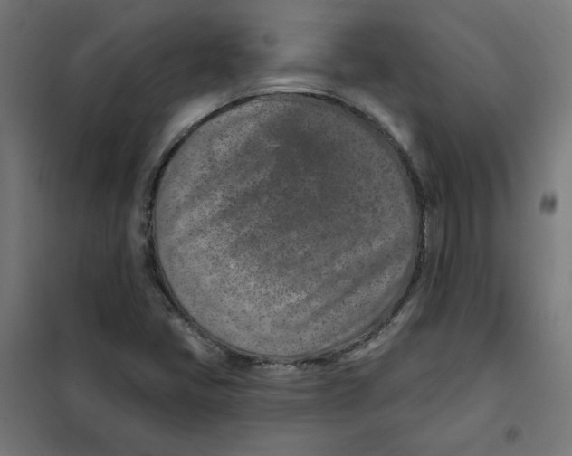 X0000101181405200807250929