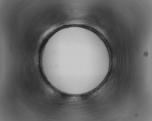 X0000101181406200807250929