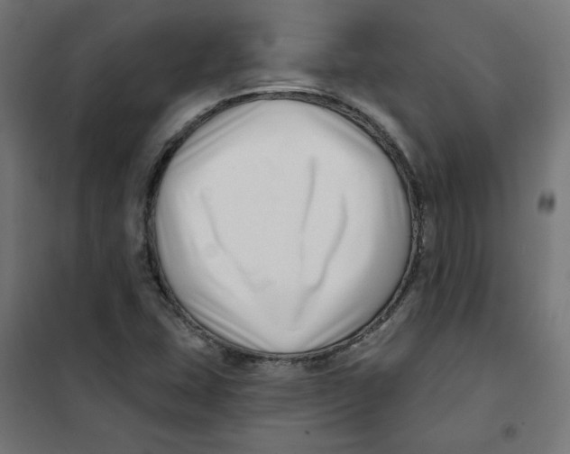 X0000101181407200807250929