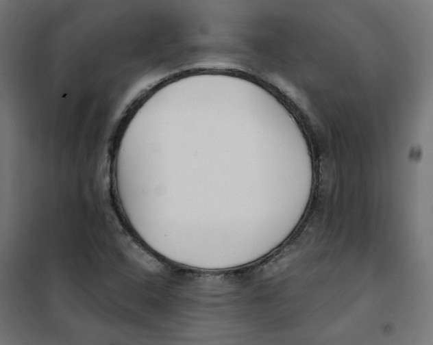 X0000101181408200807250929