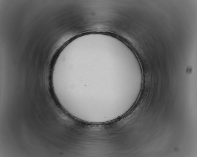 X0000101181410200807250929