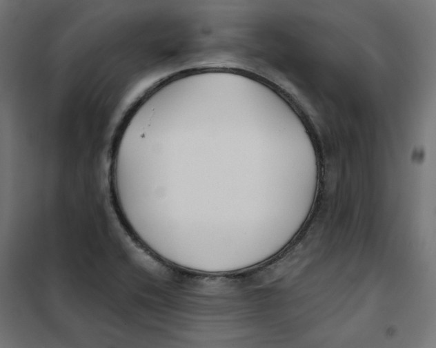 X0000101181416200807250929