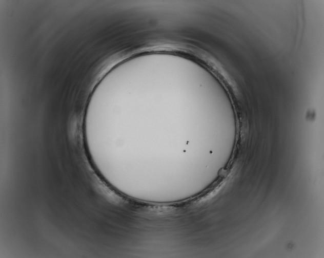 X0000101181417200807250929